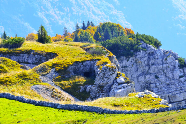 autunno in Toraro