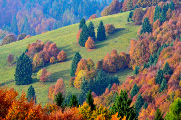 escursione foliage in Valbella