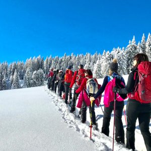 ciaspolando in Val Formica verso Cima Mandriolo