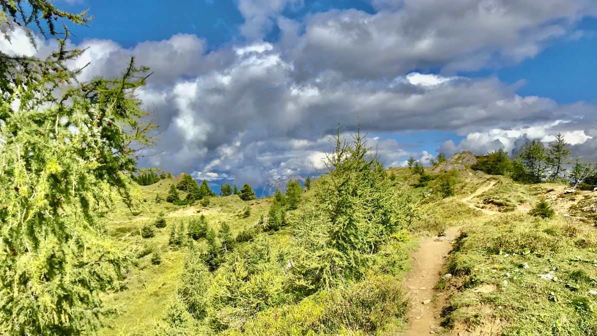 sentiero sul Monte Rite