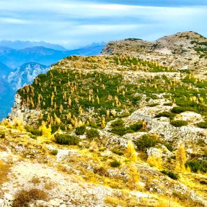 colori del foliage in Ortigara