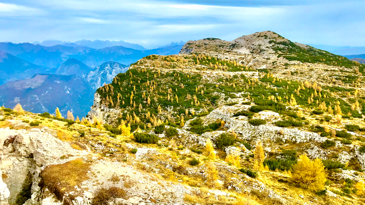 colori del foliage in Ortigara