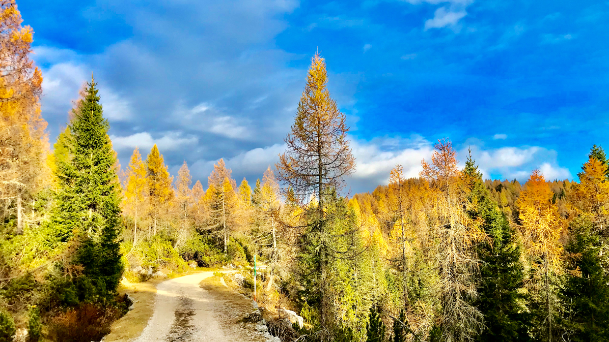 foliage in alta quota