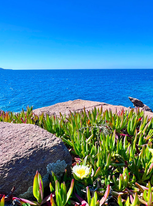 panorami Sardegna