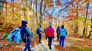 foliage lungo il sentiero delle Puche Altopiano di Asiago autunno