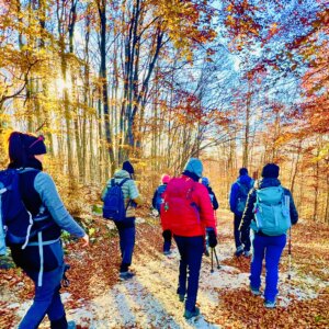 foliage lungo il sentiero delle Puche Altopiano di Asiago autunno